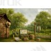 Tło fotograficzne Urodziny 3602